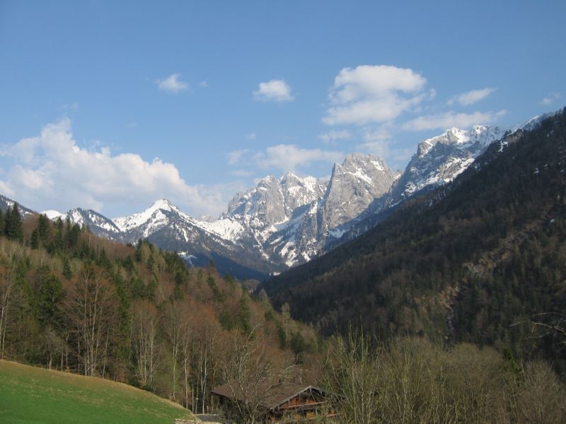 2009-04-13 Stripsenkopf (53) noch mal